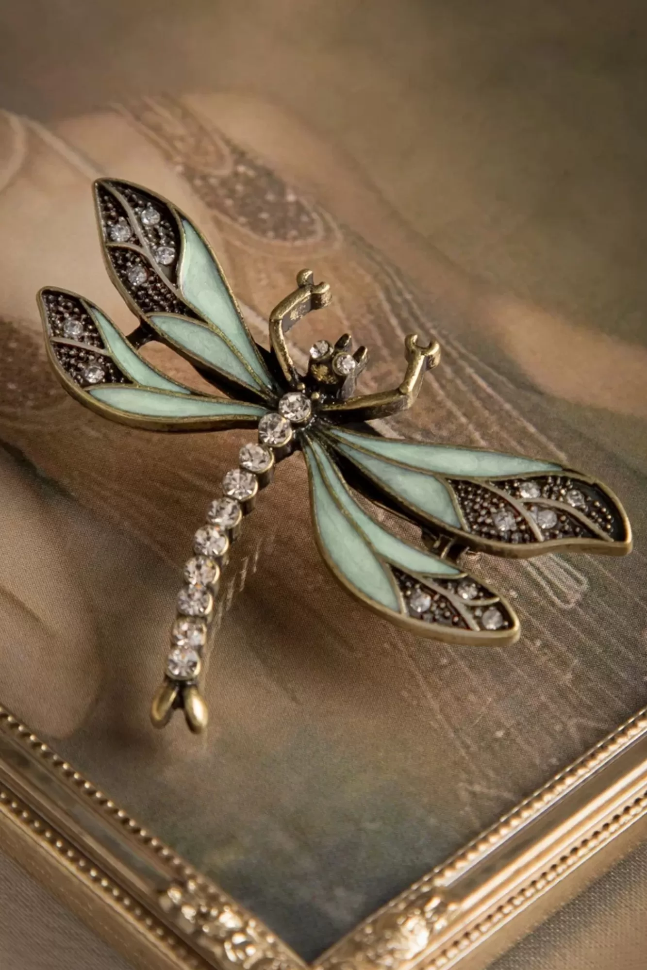 Lovely Hoe U Uw Dragonfly-Broche Kunt Trainen | Vrouwen Sieraden