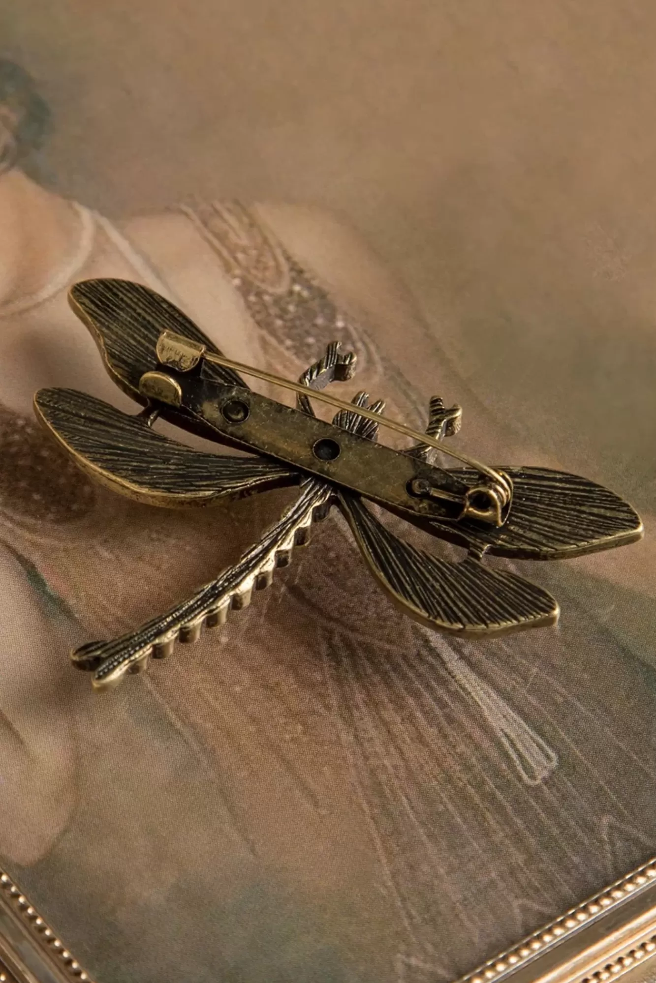 Lovely Hoe U Uw Dragonfly-Broche Kunt Trainen | Vrouwen Sieraden